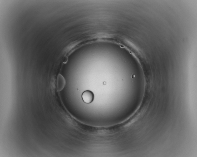 X0000114721169200910211341