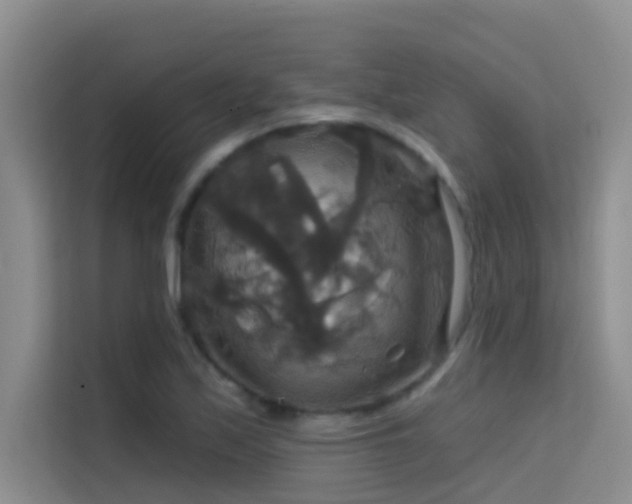 X0000114721171200910211341