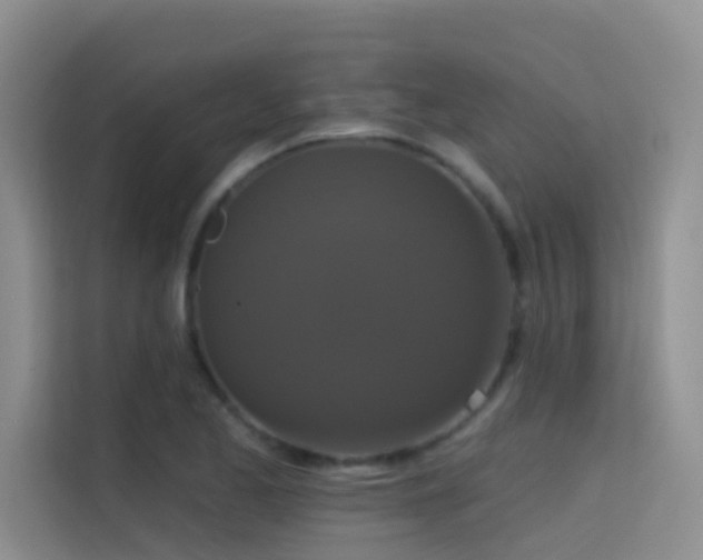 X0000114721173200910211341