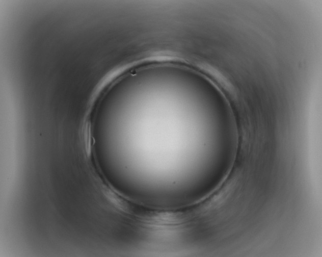 X0000114721175200910211341