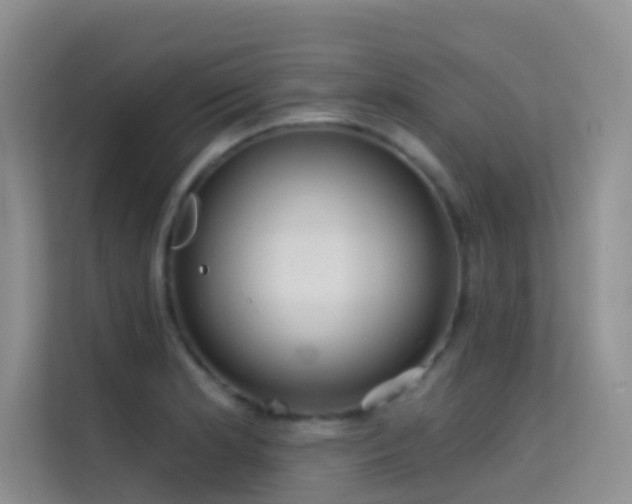 X0000114721181200910211341