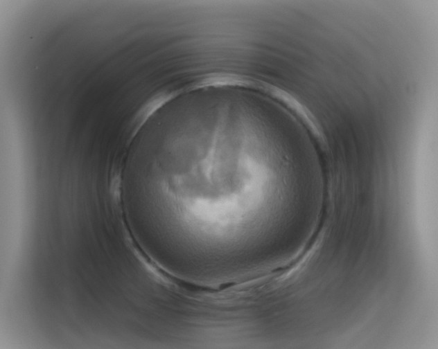 X0000114721185200910211341