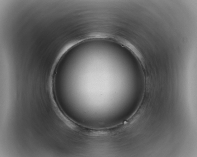 X0000114721187200910211341