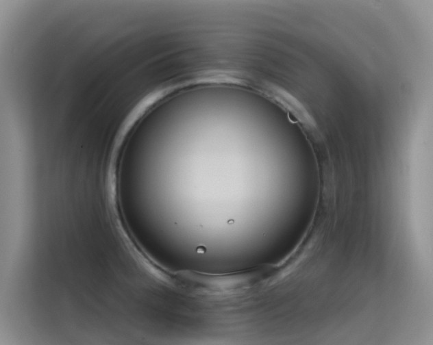 X0000114721188200910211341