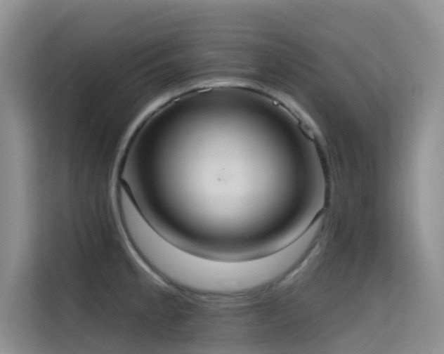 X0000114721189200910211341