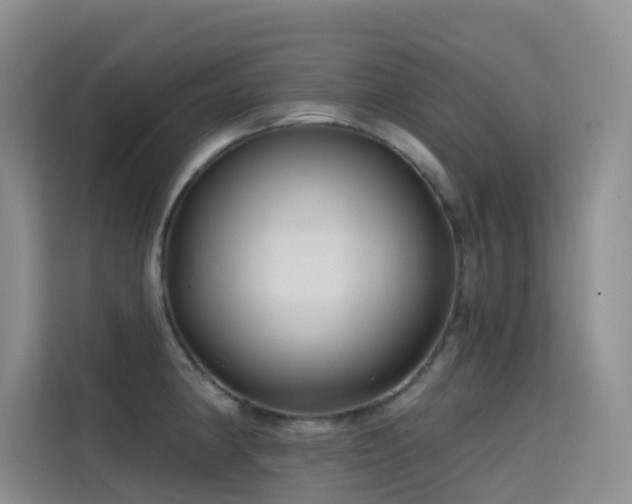 X0000114721190200910211341