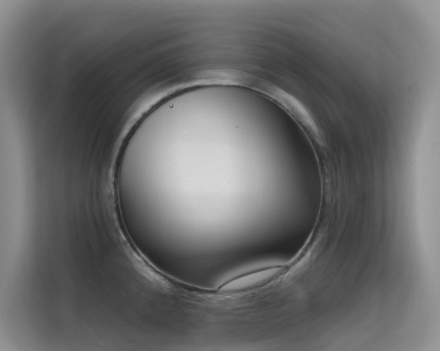 X0000114721192200910211341