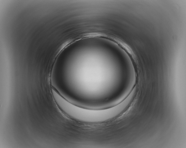 X0000114721193200910211341