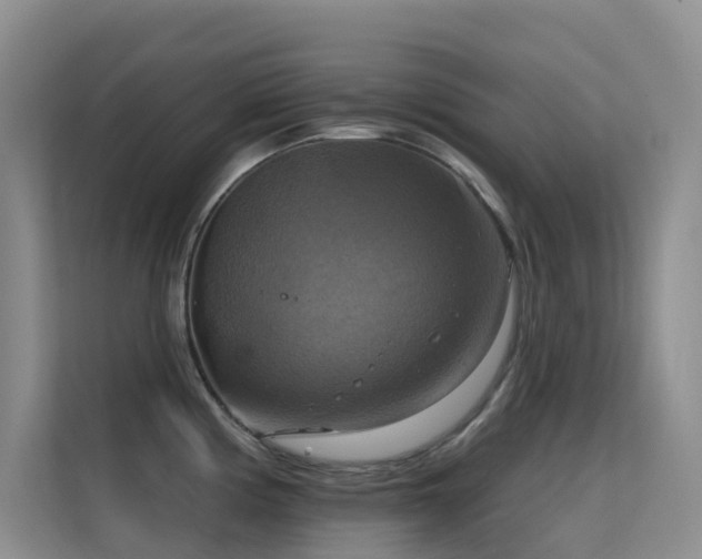 X0000114721194200910211341