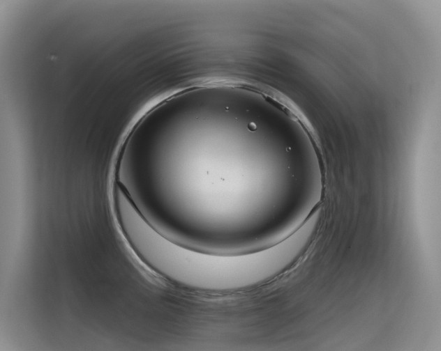 X0000114721195200910211341