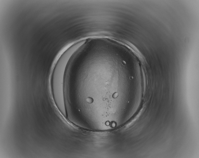 X0000114721196200910211341