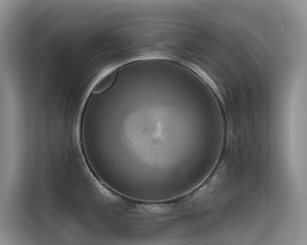 X0000114721197200910211341