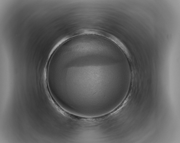 X0000114721198200910211341