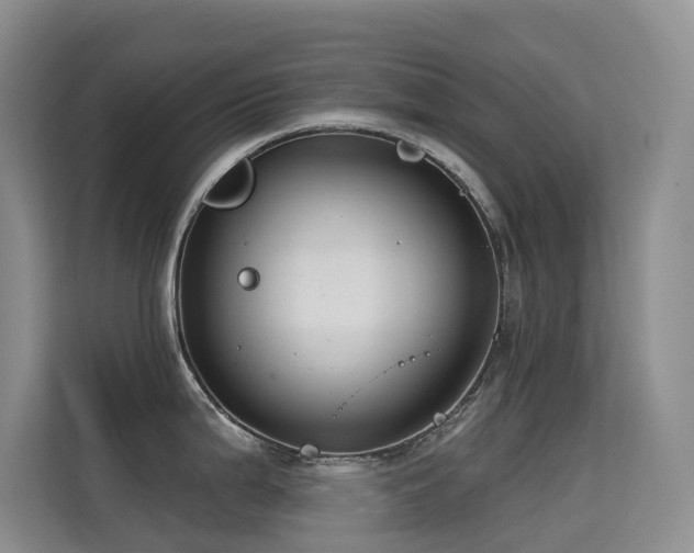 X0000114721199200910211341