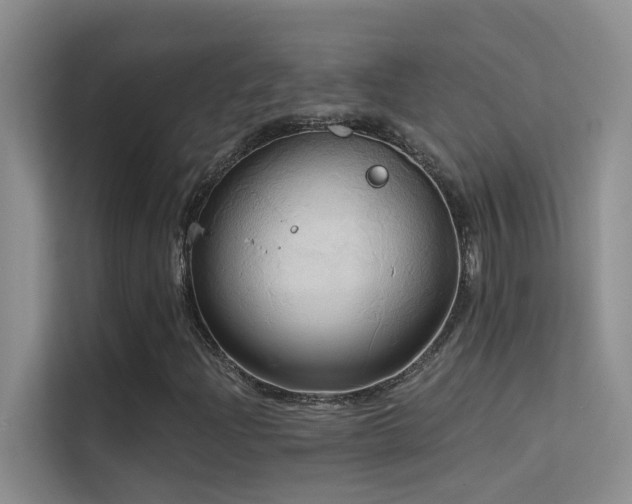 X0000114721204200910211340