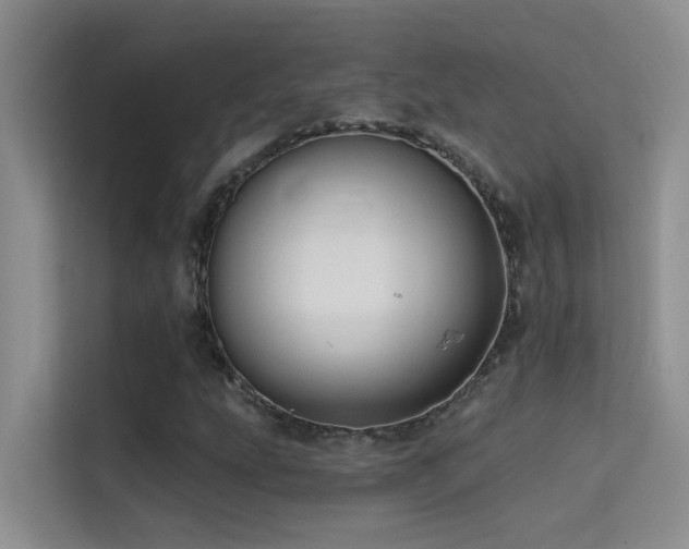 X0000114721207200910211340