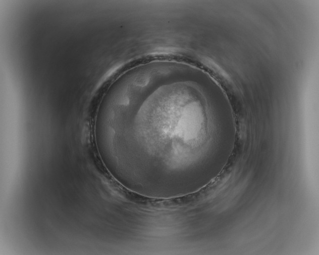 X0000114721208200910211340