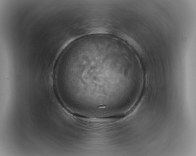 X0000114721212200910211340