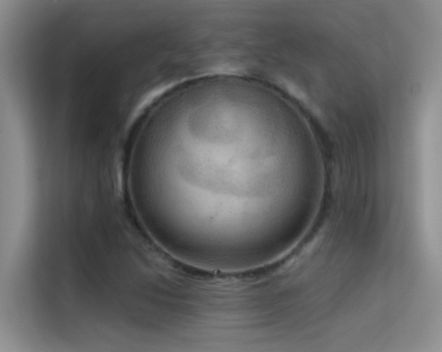 X0000114721214200910211340