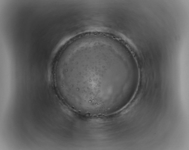 X0000114721215200910211340