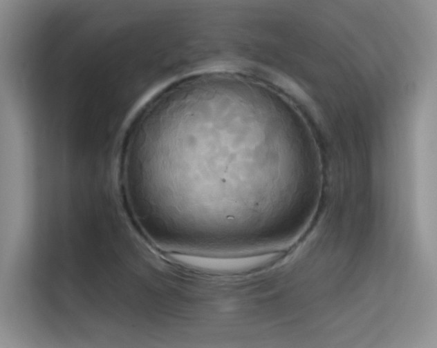 X0000114721216200910211340