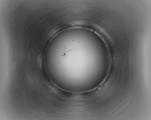 X0000114721217200910211340