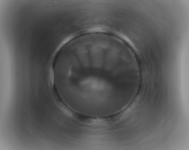 X0000114721219200910211340