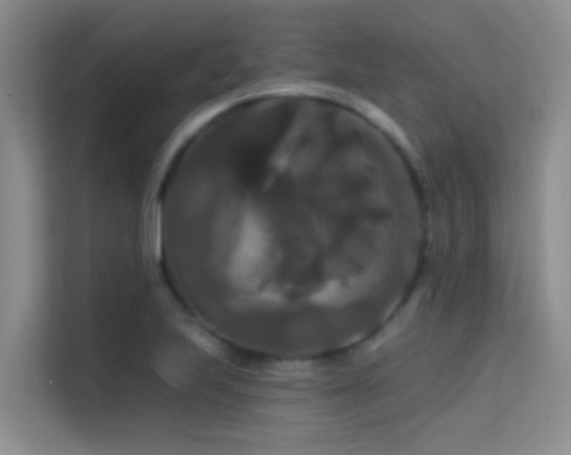 X0000114721223200910211340