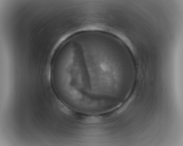 X0000114721224200910211340