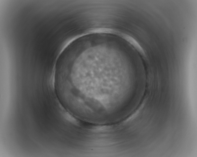 X0000114721228200910211340