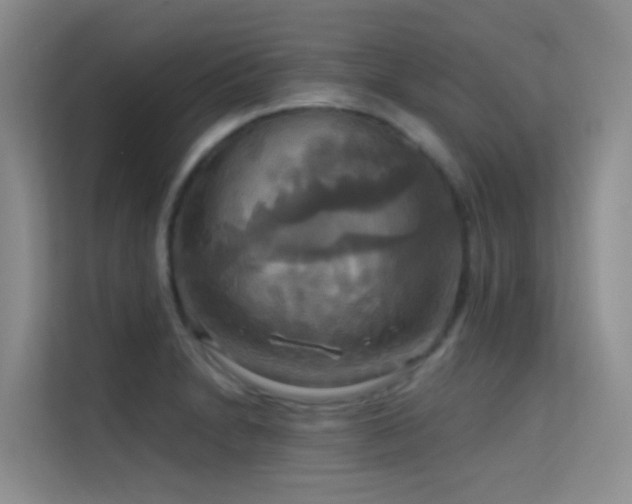 X0000114721230200910211340