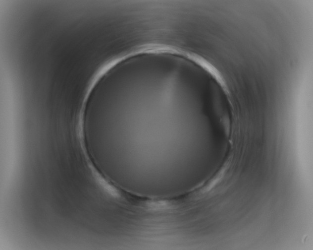 X0000114721231200910211340