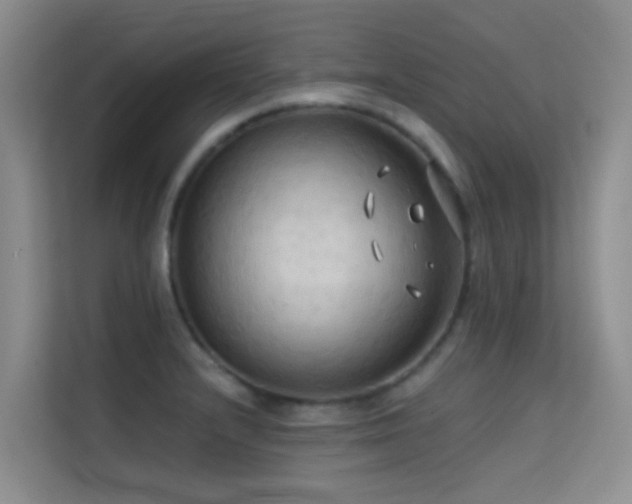 X0000114721232200910211340