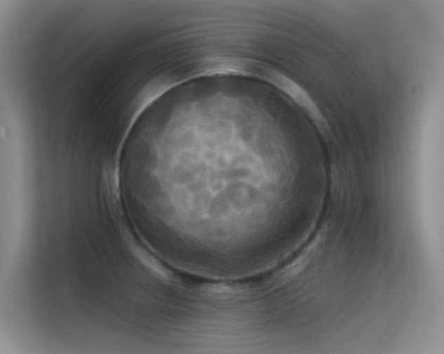 X0000114721234200910211341