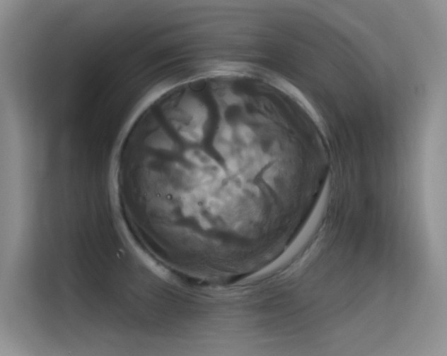 X0000114721235200910211341