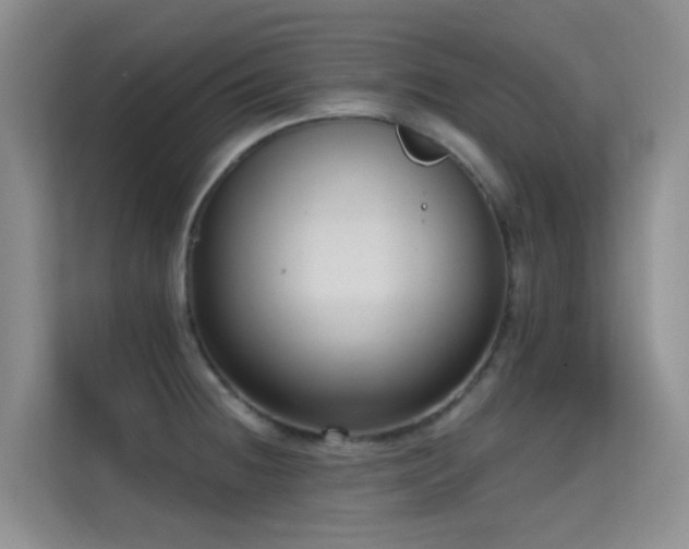 X0000114721236200910211341