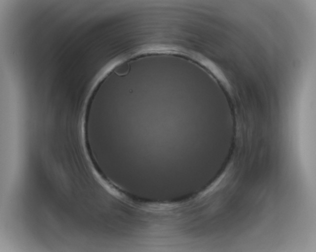 X0000114721237200910211341