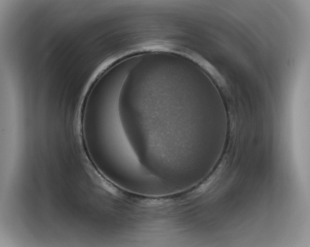 X0000114721240200910211341