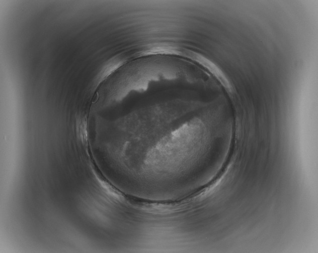 X0000114721241200910211341