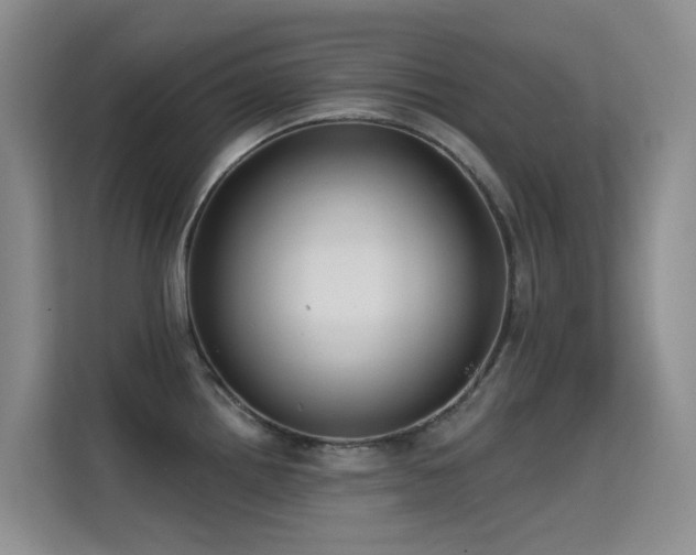 X0000114721242200910211341