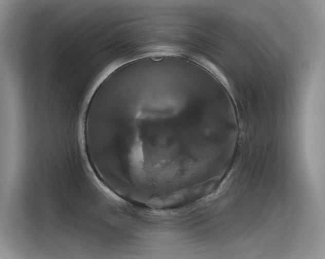 X0000114721243200910211341