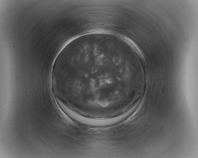 X0000114721244200910211341