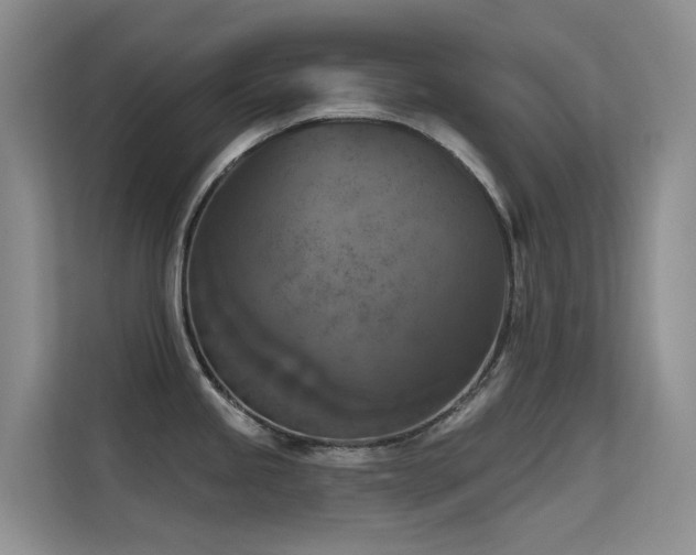 X0000114721245200910211341