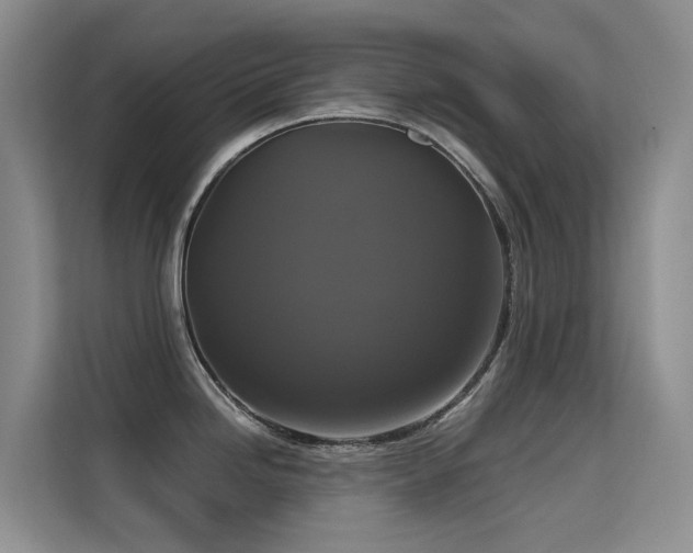 X0000114721246200910211341