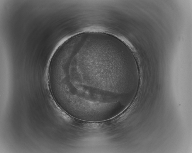 X0000114721248200910211341