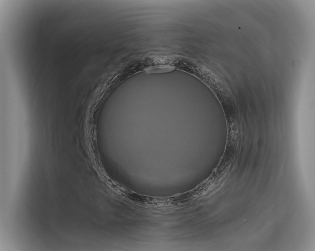 X0000114721249200910211340