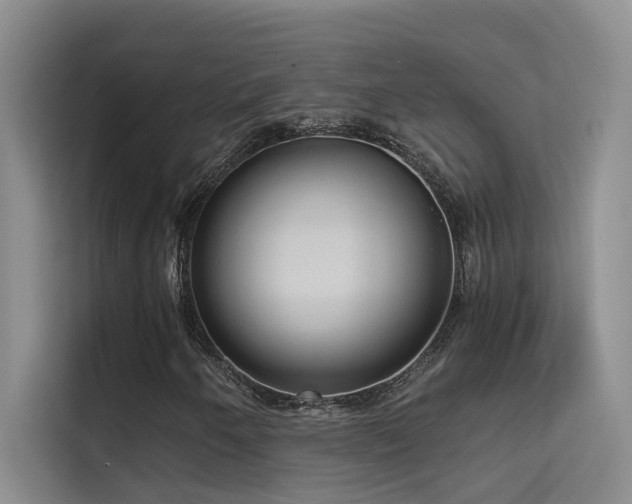 X0000114721250200910211340