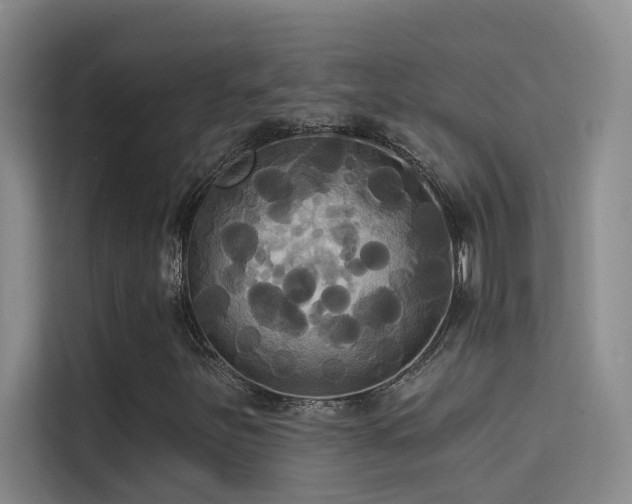 X0000114721251200910211340