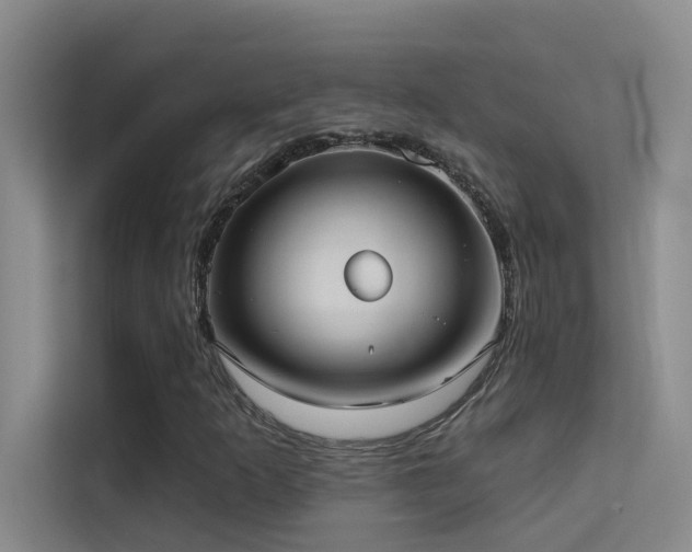 X0000114721253200910211340