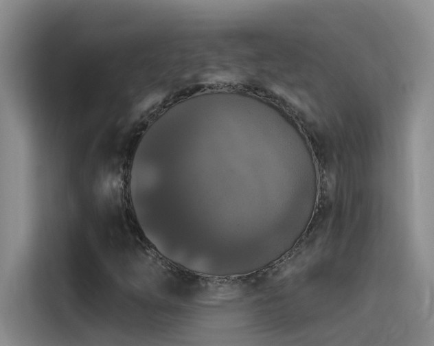 X0000114721254200910211340